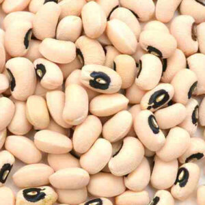 Black Eye Bean