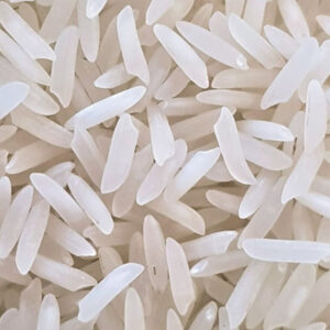 386 - LAL RICE SILKY SORTEX